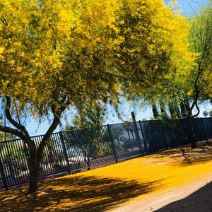 Meet your Posher, Manuela